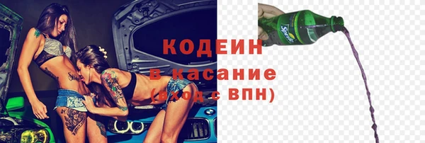 шишки Нягань