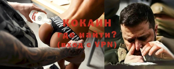 шишки Нягань