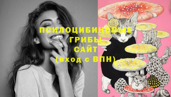 ПСИЛОЦИБИНОВЫЕ ГРИБЫ Нязепетровск