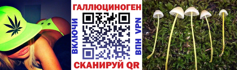 Псилоцибиновые грибы Magic Shrooms  Североморск 